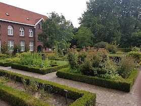 Nieuws afbeelding